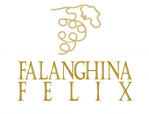 FELIX Logo text