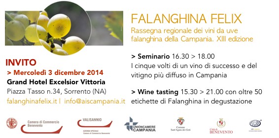 Falanghina tasting – Sorrento 3 dicembre 2014